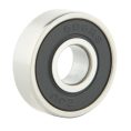 6000 Series Bearing (1)