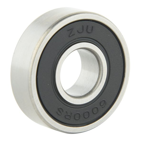 6000 Series Bearing (12)