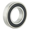 6000 Series Bearing (2)
