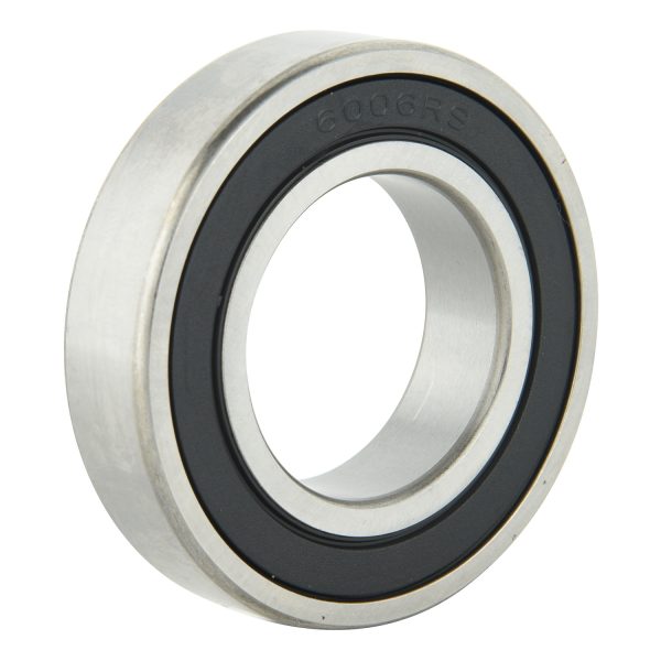 6000 Series Bearing (2)