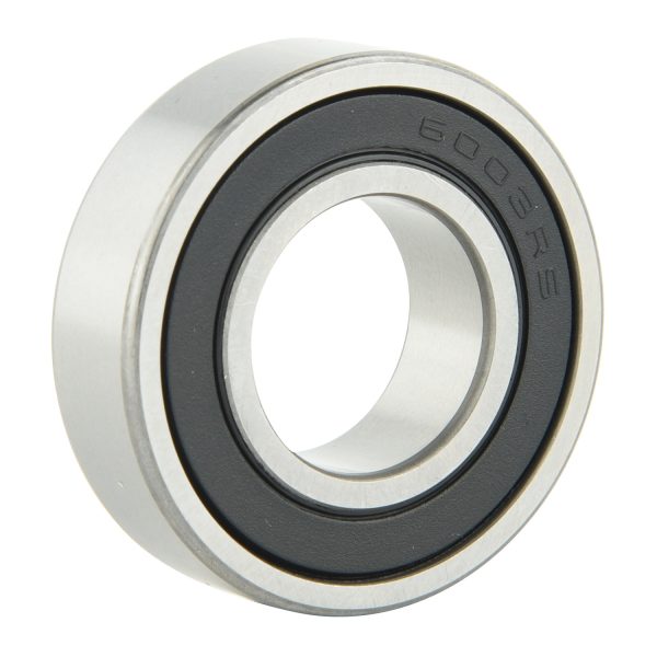 6000 Series Bearing (7)