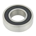 6000 Series Bearing (8)