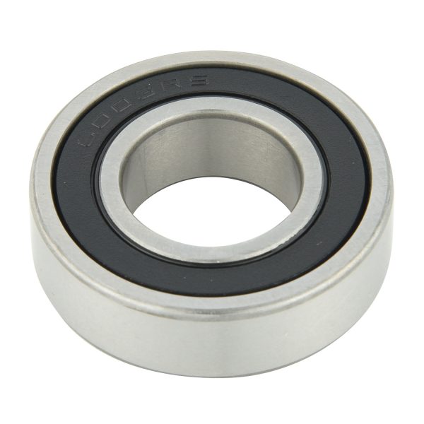 6000 Series Bearing (8)
