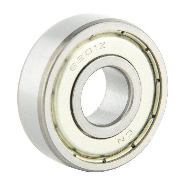 6200 Series Bearing (1)