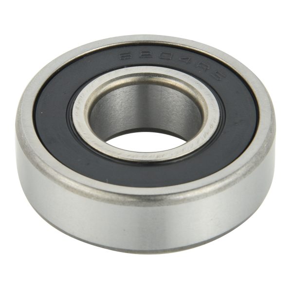 6200 Series Bearing (2)