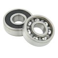 6300 Series Bearing (1)