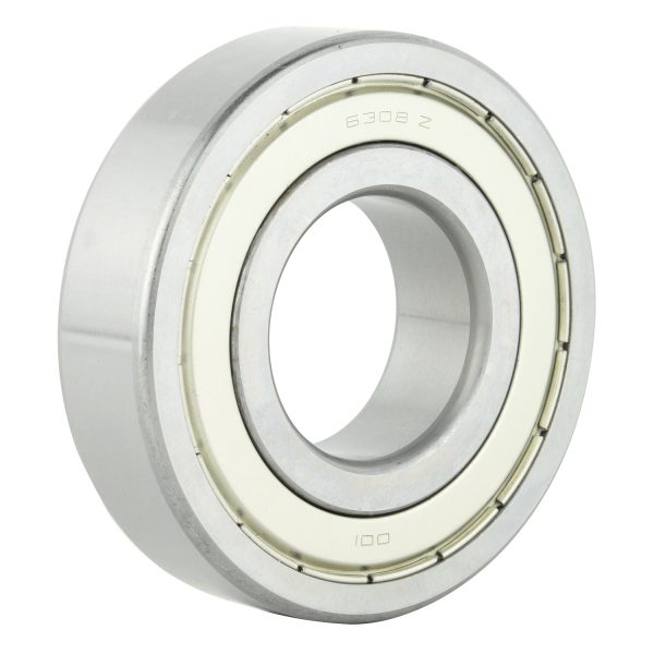 6300 Series Bearing (2)
