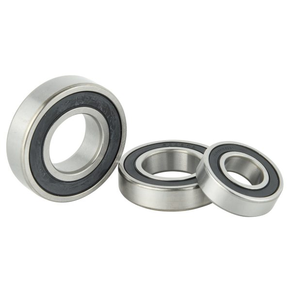 6300 Series Bearing (4)