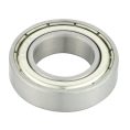 6900 Series Bearing (2)
